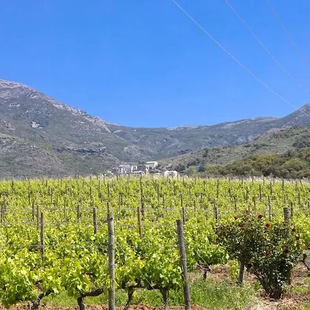 Appartement Casa U Castagnettu Patrimonio