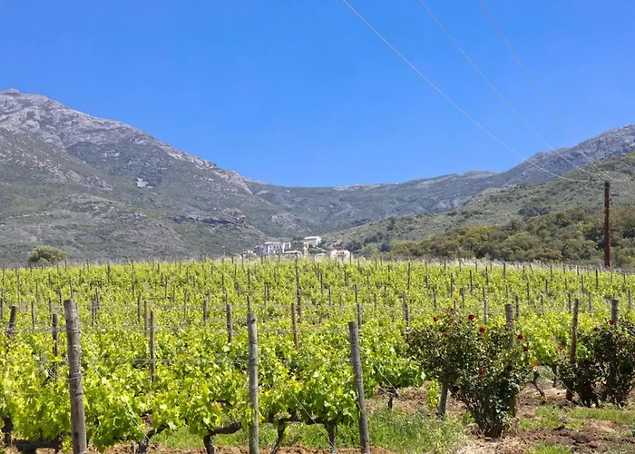 Apartamento Casa U Castagnettu Patrimonio